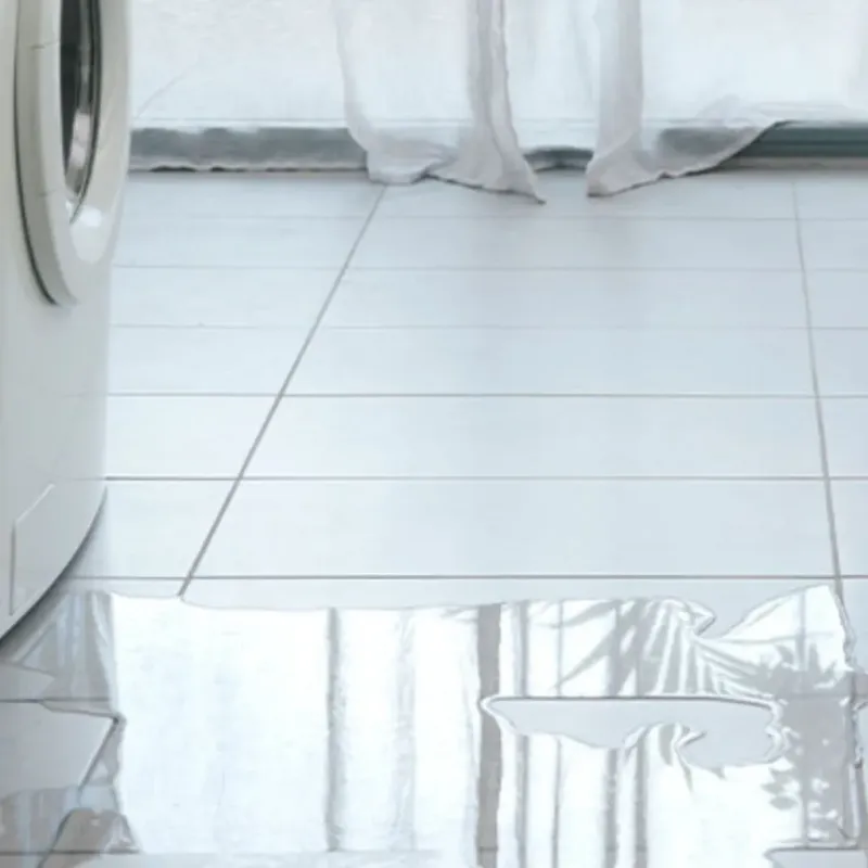 Appliance Leak Cleanup in Muskegon County, MI
