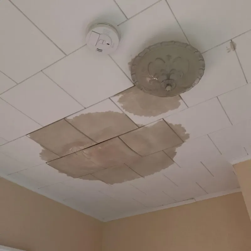 Ceiling Water Damage Repair in Muskegon County, MI