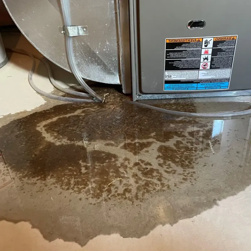 Pipe Burst and Leak Restoration in Muskegon County, MI