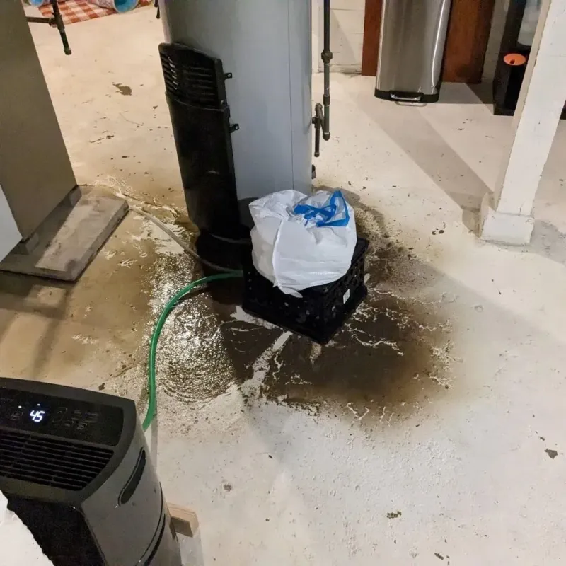 Sewage Backup Cleanup Service in Muskegon County, MI